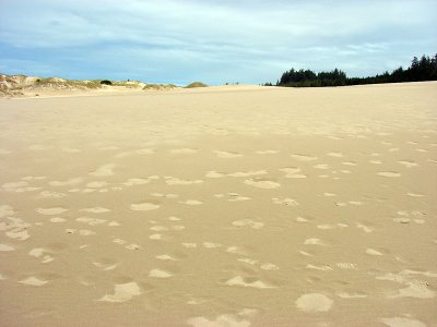 sand.jpg