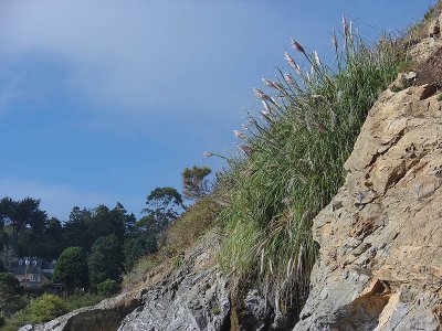 VanDammeBeach3.jpg