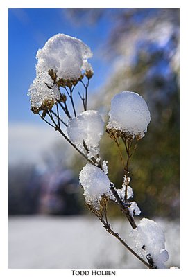 _MG_9262.jpg