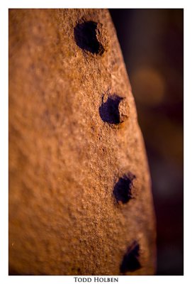 _MG_8776_1.jpg