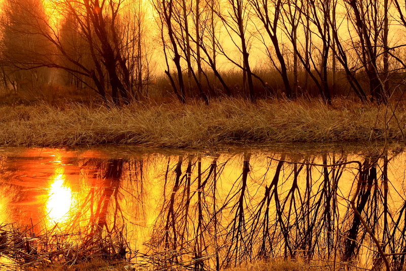 Sunset in Lake 3