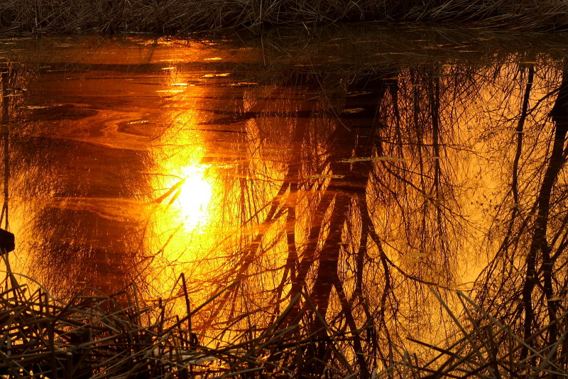 Sunset in Lake 4