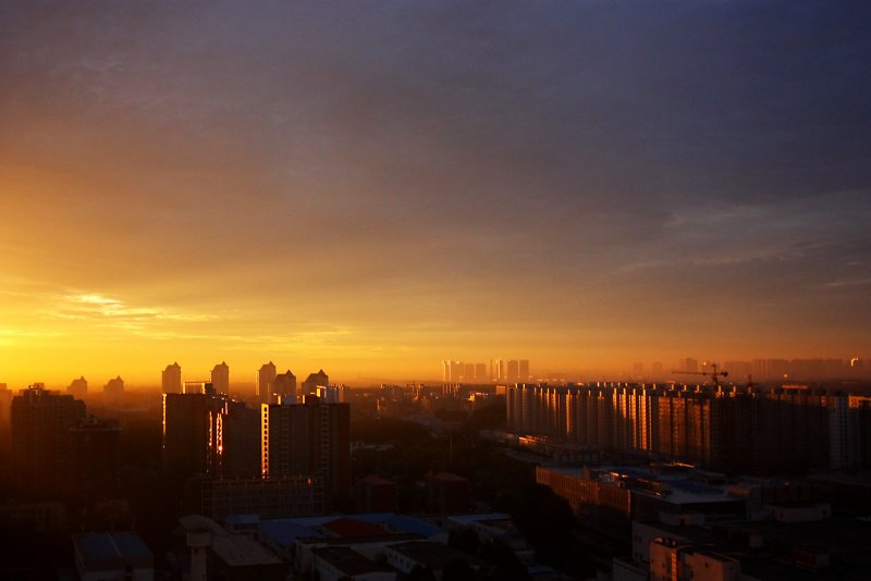Morning