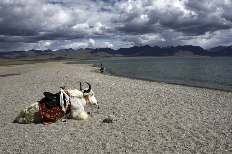 Lakeside of Namtso 2