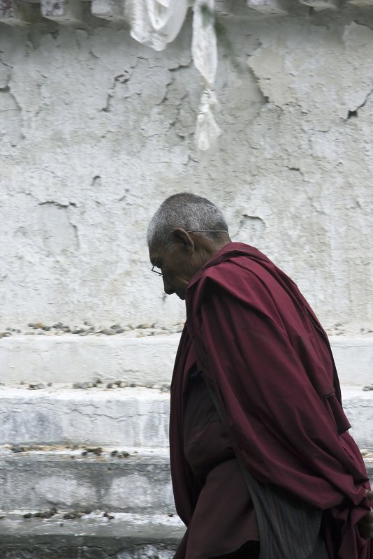 Monk in Tashilhunpo