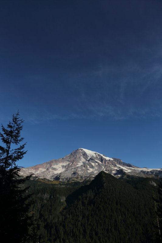 7T0A0337.JPG