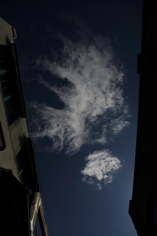 7T0A0730.JPG