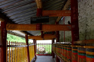 IMG_0846_web1.jpg