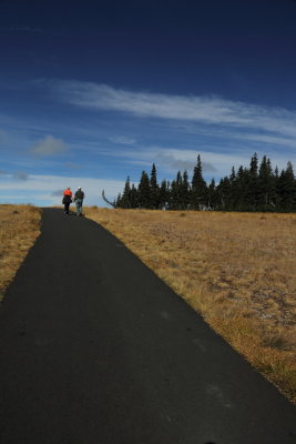 7T0A0605.JPG