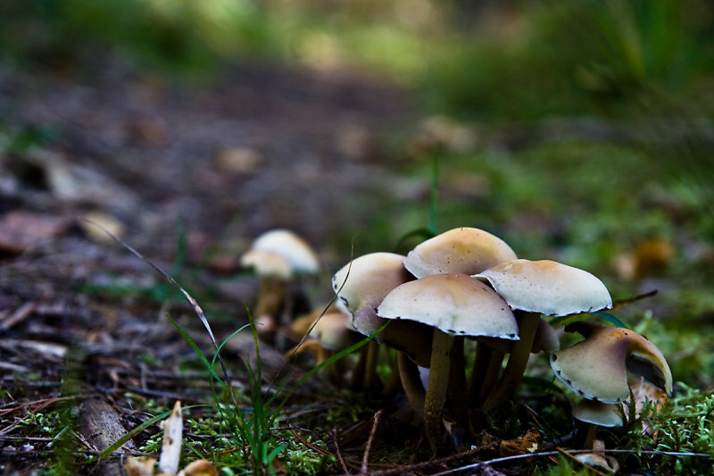 _MG_0212.jpg