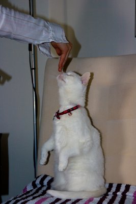 _MG_6435.jpg