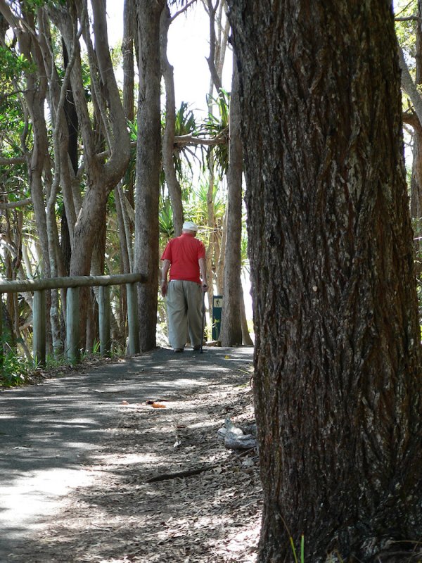 On the Scenic Walk