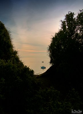 g1/50/793550/3/117848507.JuYdEK0y.jpg