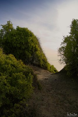 g1/50/793550/3/117848521.L6rZfjrv.jpg