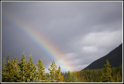 Rainbow at Field B.C.
