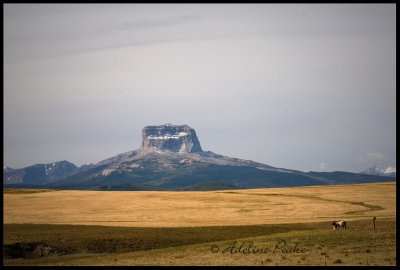 Big Chief Mountain, Cardston AB