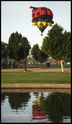 2008-11-22 133.jpg