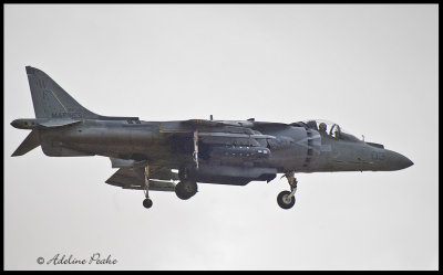 A-18 Harrier
