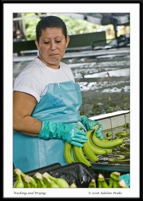 COSTA RICA 4 234 c.jpg