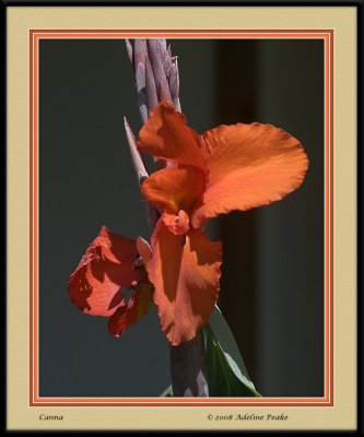 COSTA RICA 5 134 c.jpg