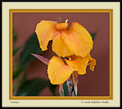 COSTA RICA 5 133 c.jpg