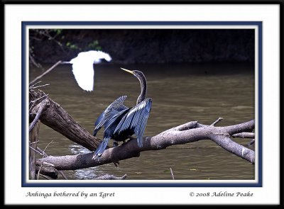 COSTA RICA 6 072 c.jpg