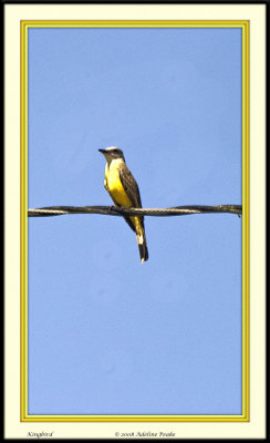 COSTA RICA 5 033 c.jpg