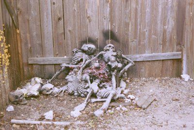 Other Victims.JPG