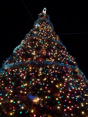 DisneyDec2008 144.jpg