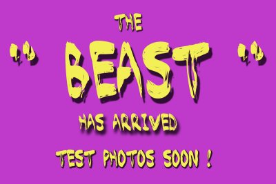The Beast - Nikon 400mm F2.8 VR