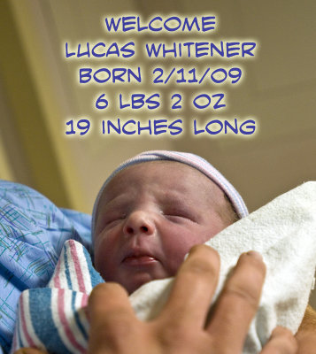 Lucas Whitener