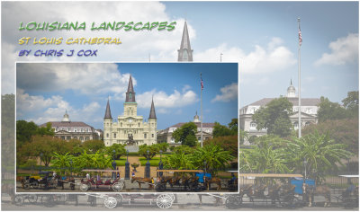 Louisiana Landscapes