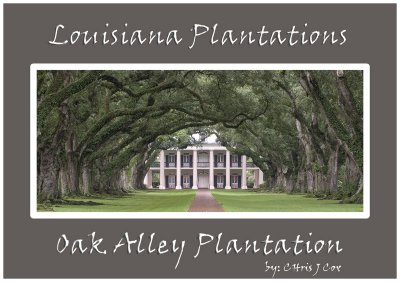Plantation Homes of Louisiana