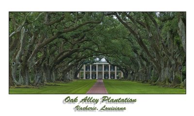 Louisiana Plantations