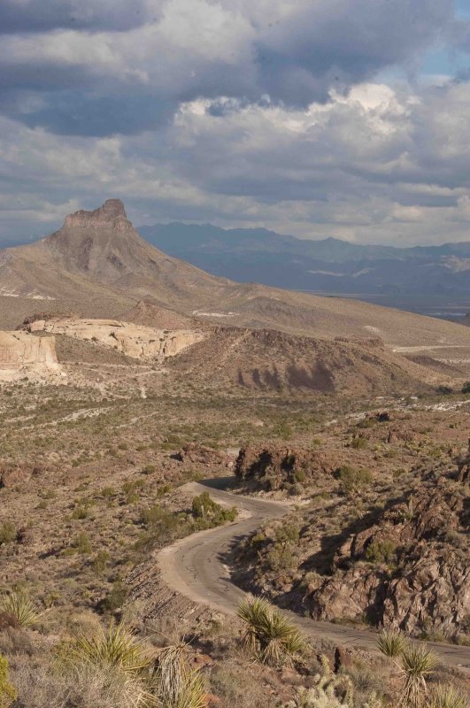 Rt. 66 Oatman AZ