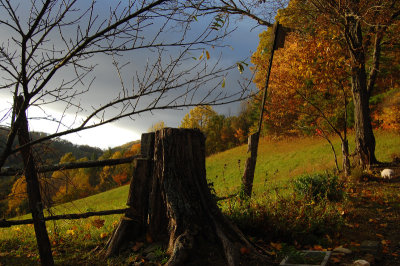 Carolina hillside