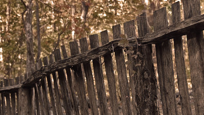 Smoky Mountain fenceline