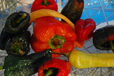 Old peppers on table