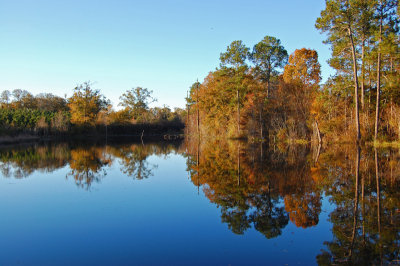 Morning color (reflected)