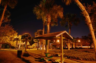 Evening at the park