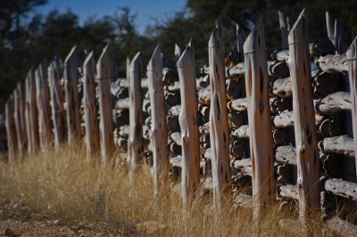 Another Texas fence
