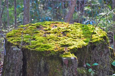 DSC_0099_1.jpg