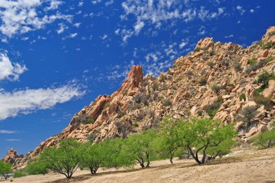 Arizona hillside