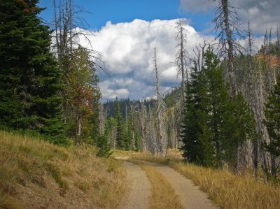 Montana highway