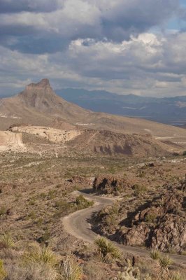 Rt. 66 Oatman AZ