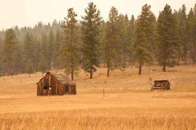 a field near Patomac, MT