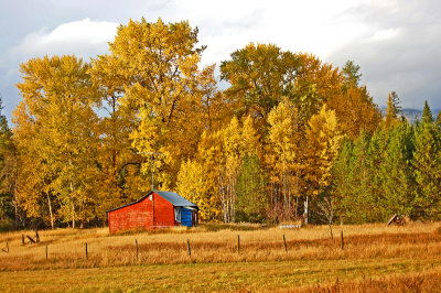 Cabin in Autumn-1.jpg