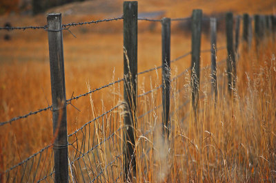 Fence NE WY_1.jpg