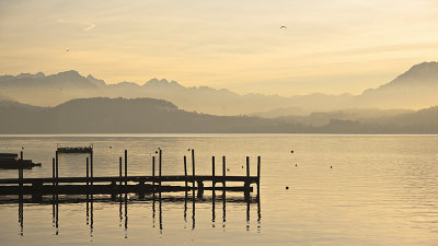 Evening-at-the-lake.jpg