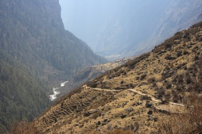 Langtang Valley